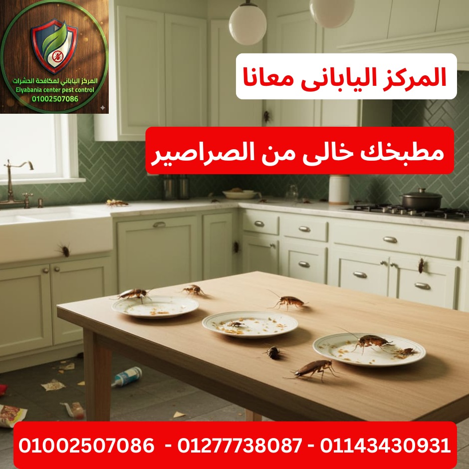 مكافحة الحشرات في المطاعم