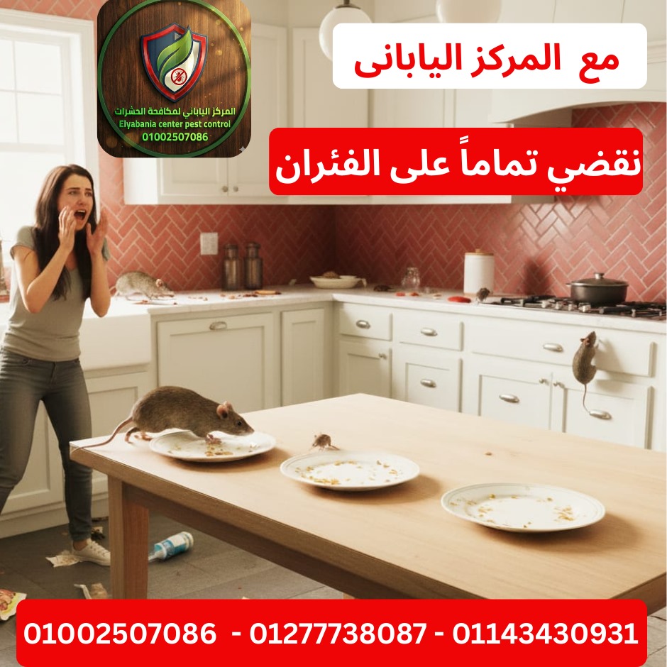القضاء على الفئران والجرذان