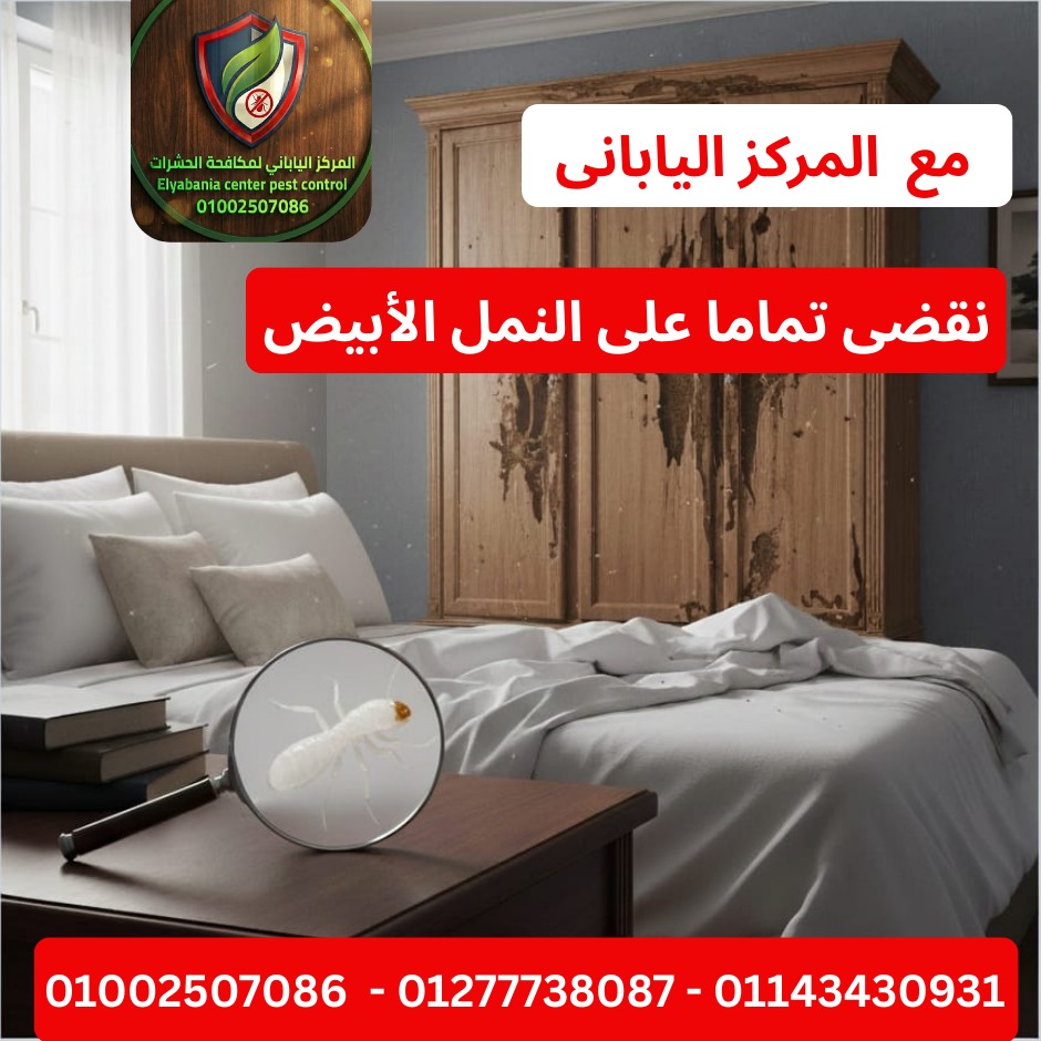 القضاء على النمل الأبيض