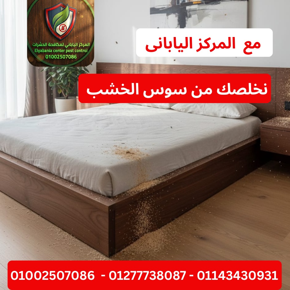 مكافحة سوس الخشب